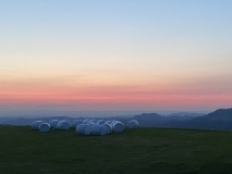 IMG_5386