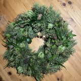 IMG_E4202