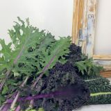 BabyKale150g