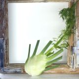 Fenchel