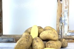 Gourmandine