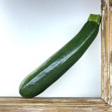Zucchetti